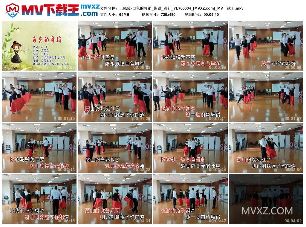 王晓霞-白色的舞蹈_国语_流行_YE700634